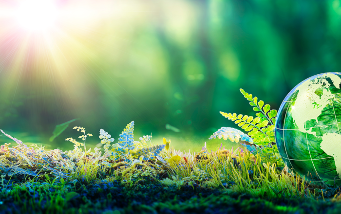 Clear Air Enviro-Services cover photo - plants cover the bottom of the photo while the sun shines from above and there is a globe that looks as if it is made from water but is very green and reflective showing North America and South America