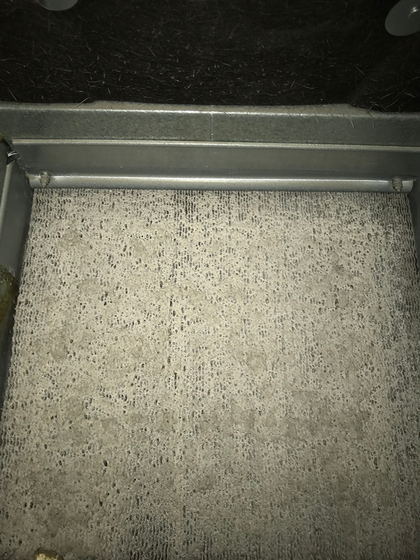 Coils that have yet to be cleaned with tons of buildup and debris. The debris looks grey and completely covers the black coils